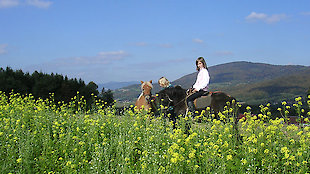 Ponyreiten auf dem Bauernhof im Bayerischen Wald